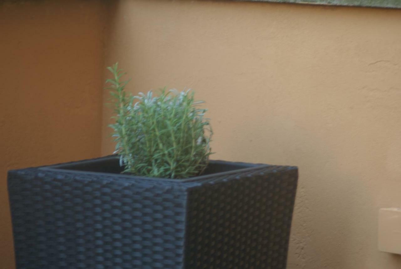 StayinBoloňa Exteriér fotografie